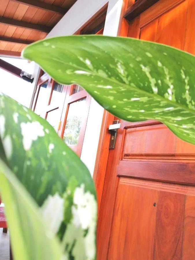 Villa Wismar Hikkaduwa Eksteriør bilde